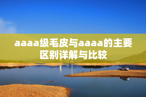 aaaa级毛皮与aaaa的主要区别详解与比较