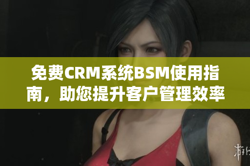 免费CRM系统BSM使用指南，助您提升客户管理效率