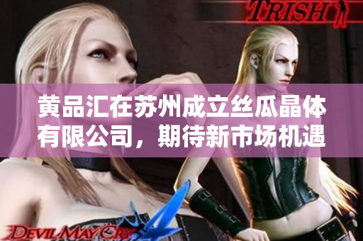 黄品汇在苏州成立丝瓜晶体有限公司，期待新市场机遇