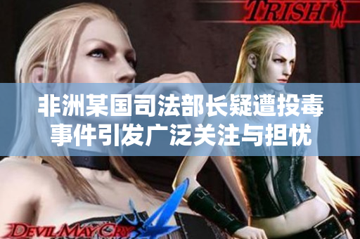 非洲某国司法部长疑遭投毒事件引发广泛关注与担忧