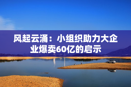 风起云涌：小组织助力大企业爆卖60亿的启示