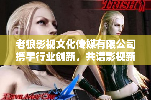 老狼影视文化传媒有限公司携手行业创新，共谱影视新篇章